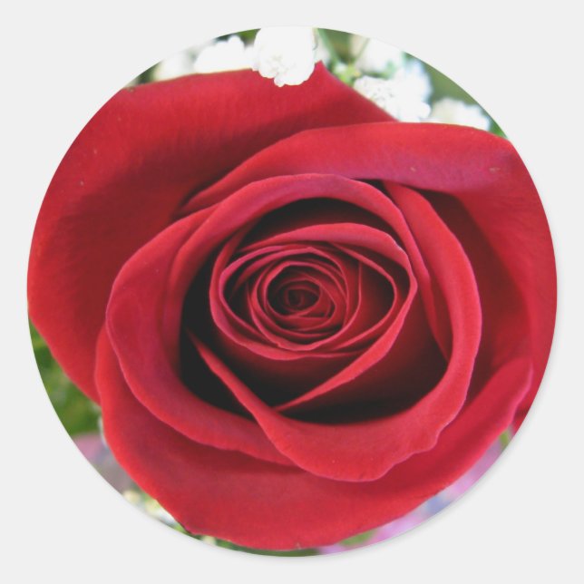 Red Rose Stickers (Front)