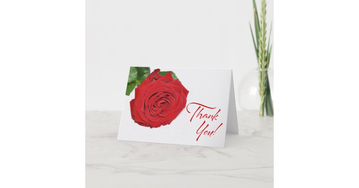 Red Rose Thank You Card | Zazzle