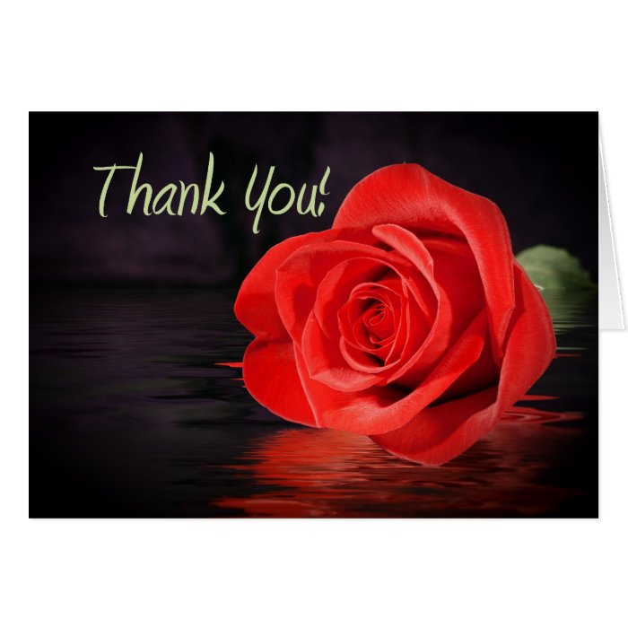 Red Rose Thank You Greeting Cards