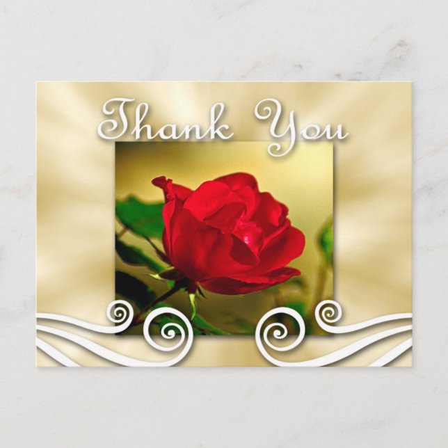 Red Rose Thank you Postcard (Front)