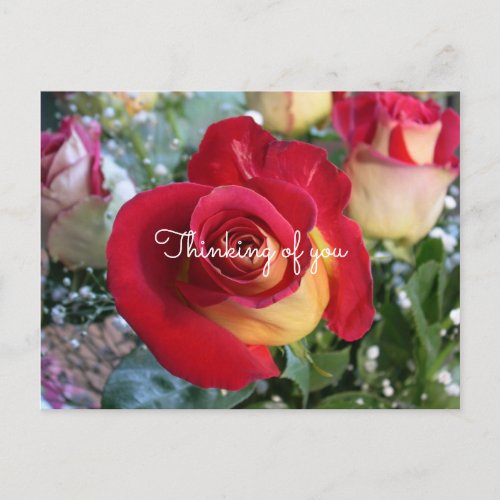 Red Rose Thinking of You Custom Message Postcard