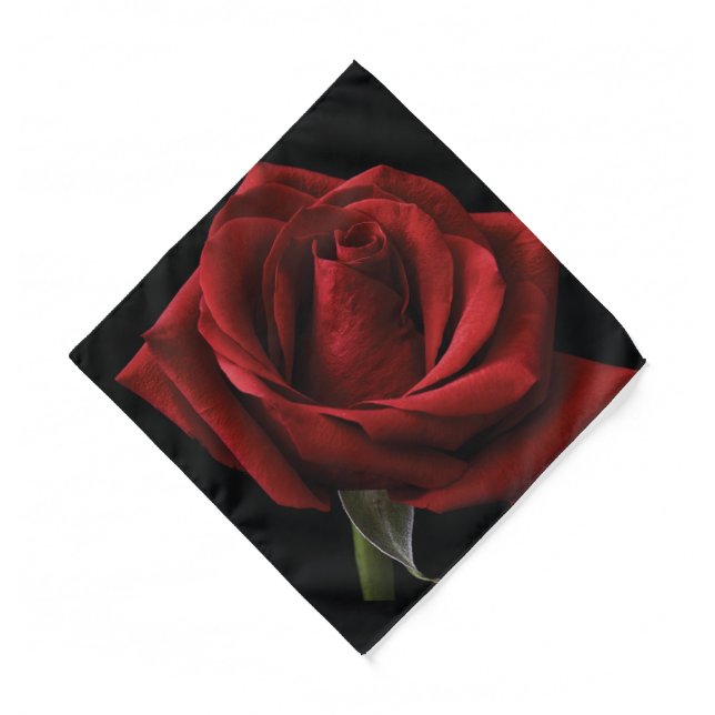 Red rose throw pillow bandana (Front)