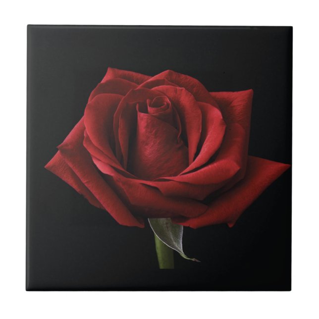 Red rose throw pillow ceramic tile (Front)