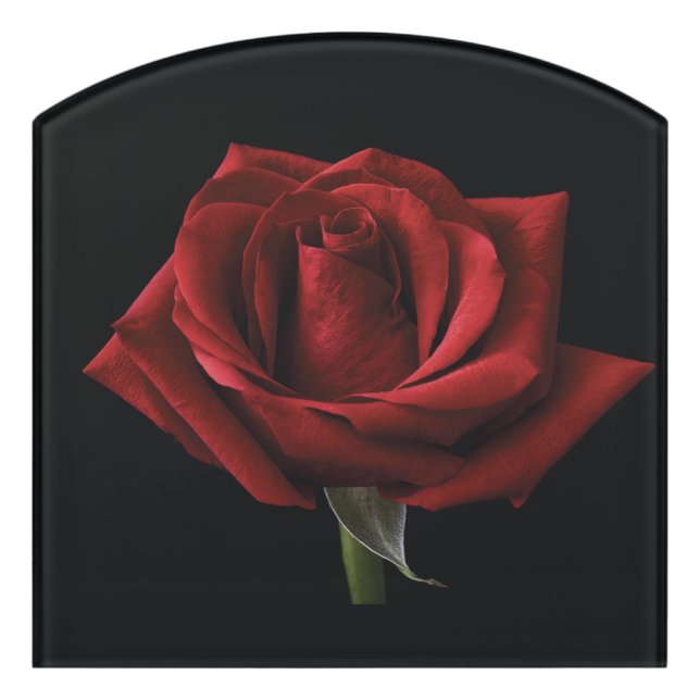 Red rose throw pillow door sign (Contour Front)