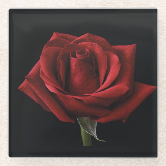 Red rose throw pillow glass coaster (Front)