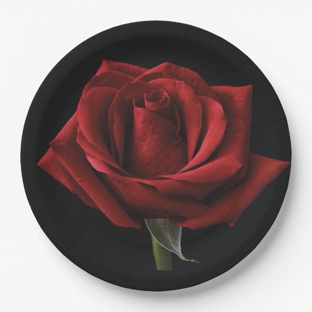 Red rose throw pillow paper plates (Front)