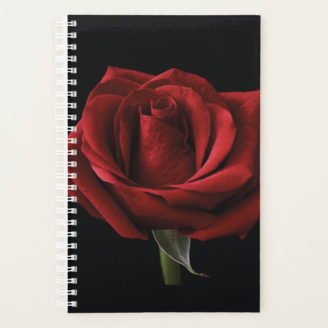 Red rose throw pillow planner (Front)