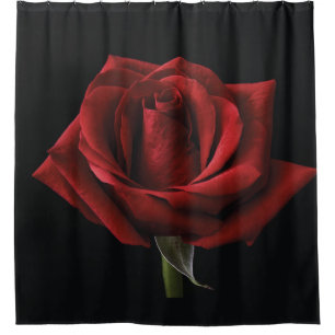 Red rose throw pillow shower curtain