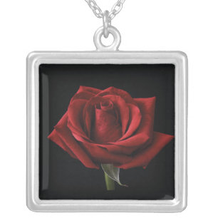 Red rose throw pillow silver plated necklace