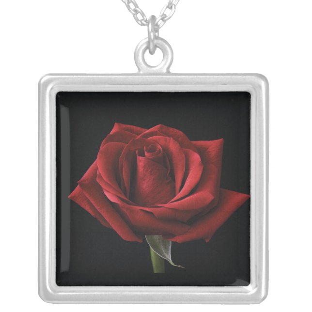 Red rose throw pillow silver plated necklace (Front)