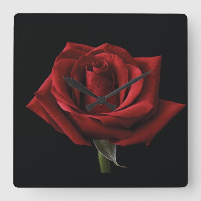 Red rose throw pillow square wall clock (Front)