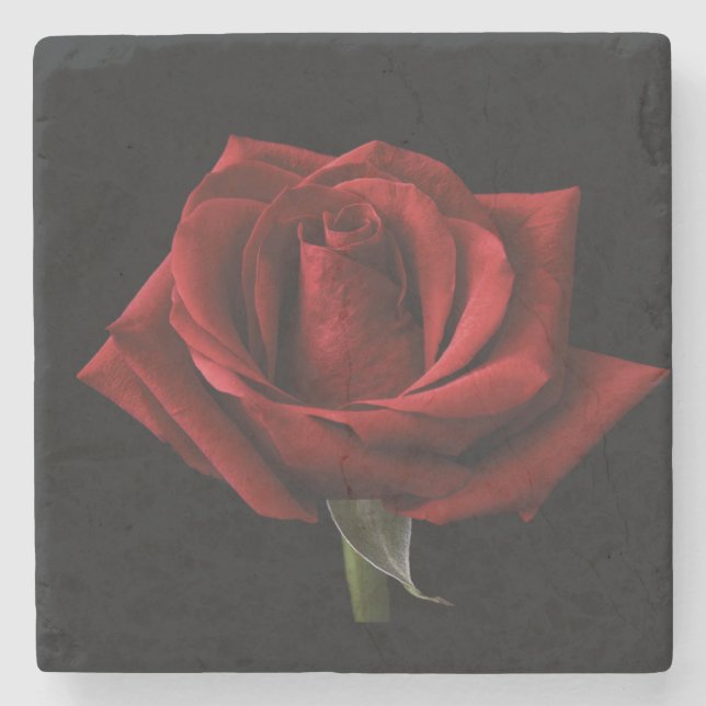 Red rose throw pillow stone coaster (Front)