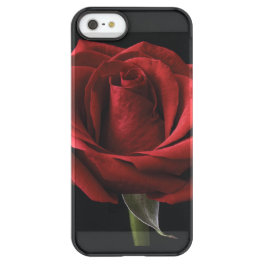 Red rose throw pillow permafrost iPhone SE/5/5s case