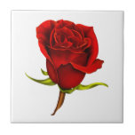 Red Rose Tile at Zazzle
