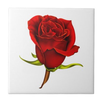 Red Rose Tile by karlajkitty at Zazzle