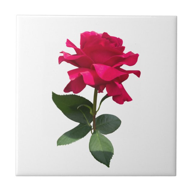 Red rose tile (Front)