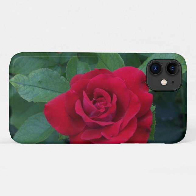 Red Rose Up Close Case-Mate iPhone Case (Back (Horizontal))