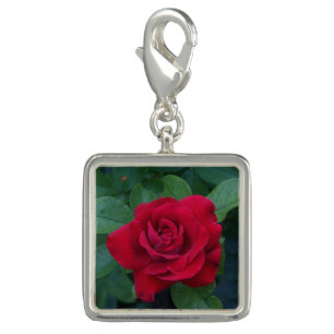 Red Rose Up Close Charm