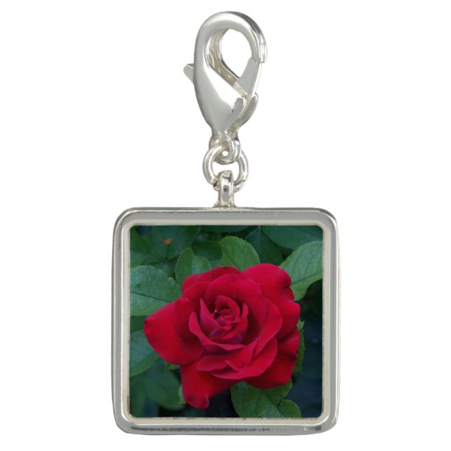 Red Rose Up Close Charm (Front)