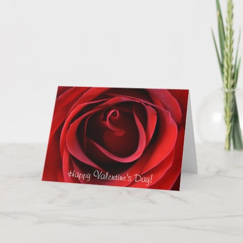 Red Rose Up Close Happy Valentines Day Holiday Card