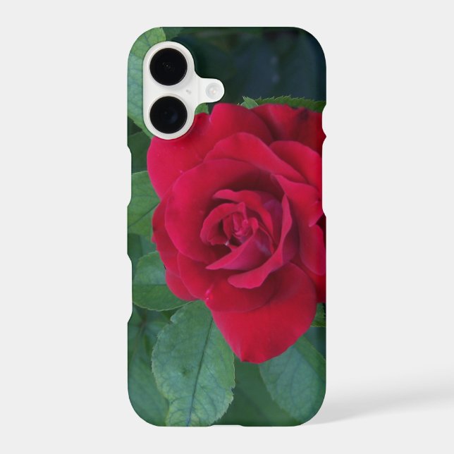 Red Rose Up Close Iphone Case (Back)
