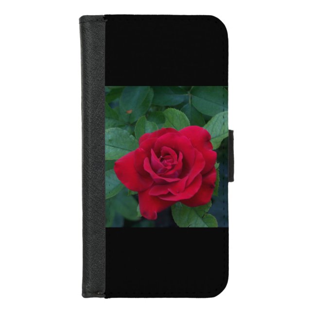 Red Rose Up Close iPhone Wallet Case (Front)
