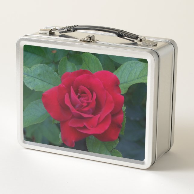 Red Rose Up Close Metal Lunch Box (Front)