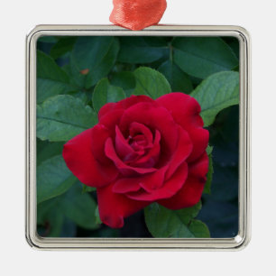 Red Rose Up Close Metal Ornament