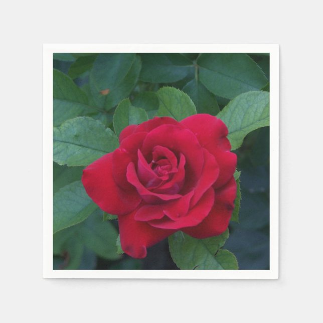 Red Rose Up Close Napkins (Front)