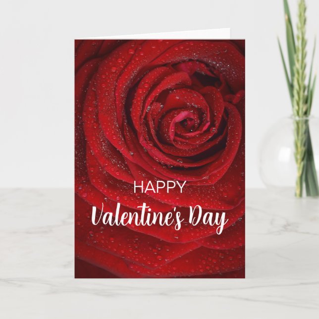 Red Rose, Valentine  Card (Front)