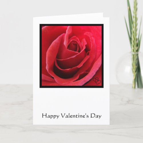 Red Rose Valentines Day Card