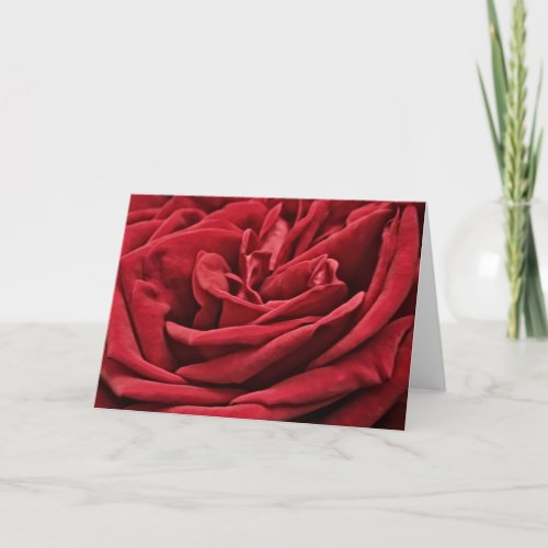 Red Rose Velvet Petals Art Note Card