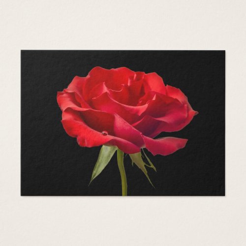 Red Rose w/ Dew Drop on Black Background Custom Business Card