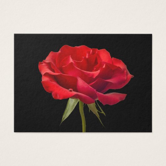 Red Rose w/ Dew Drop on Black Background Custom (Front)