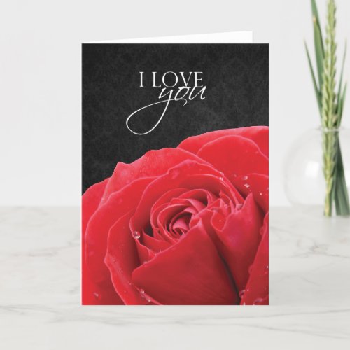 Red Rose  Water Droplets  I Love You Card