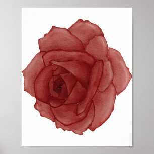 Red Rose Watercolor Facing Left Poster