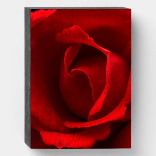 Red Rose wbs8x6cnm Wooden Box Sign