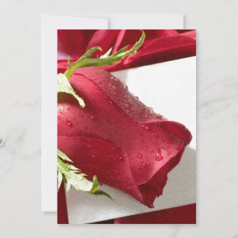 red rose wedding invitations | Zazzle