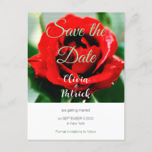 Red Rose Wedding Save the Date Invitation Postcard