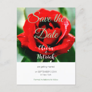 Red Rose Wedding Save the Date Invitation Postcard
