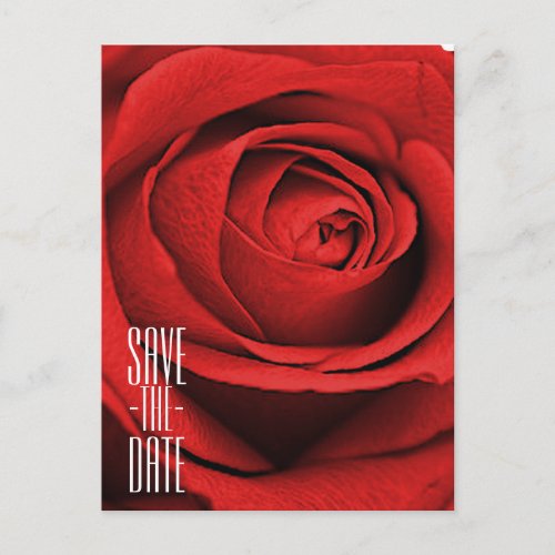 Red Rose White Any Color Glam Save the Date Announcement Postcard