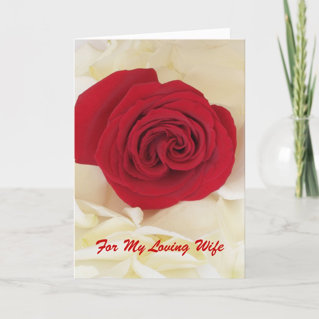 Red Rose Wife Anniversary Card Zazzle