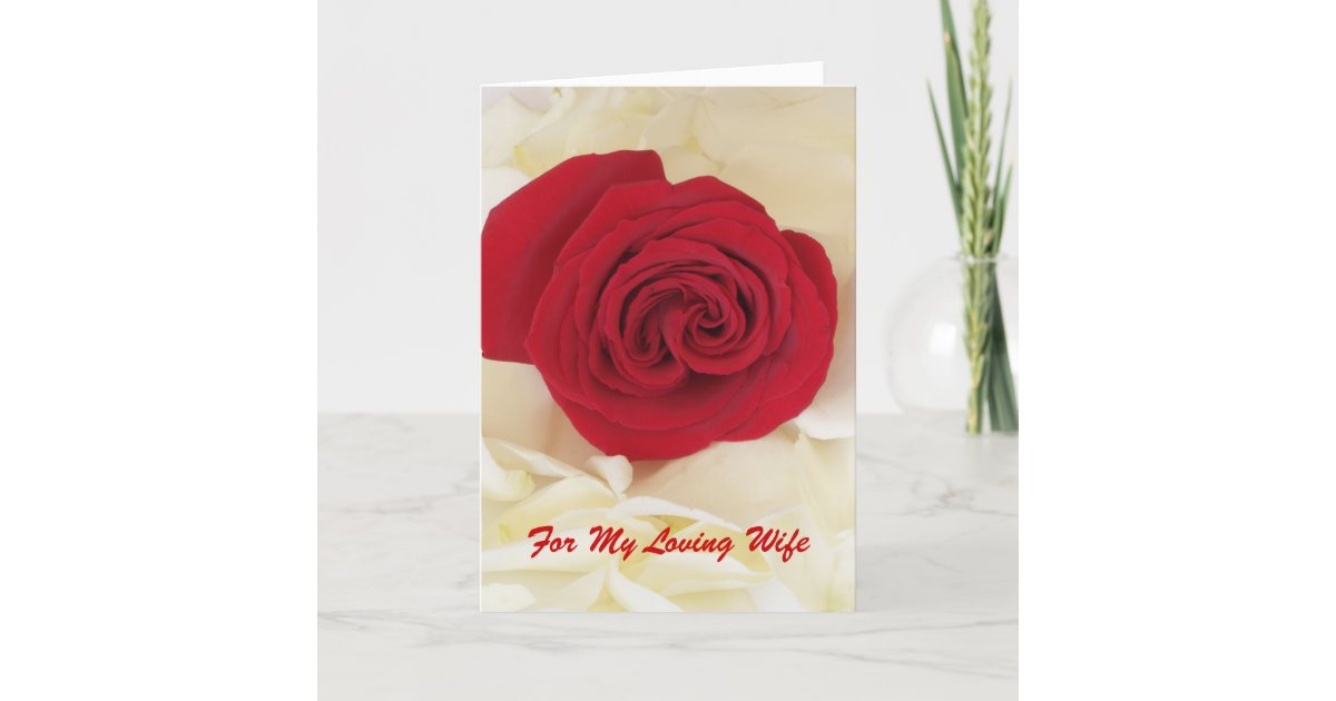 Red Rose Wife Anniversary Card Zazzle