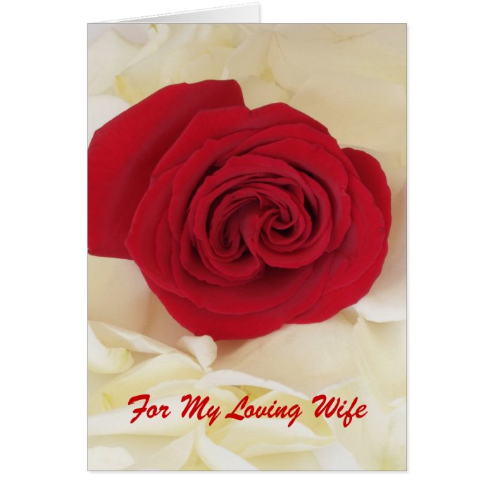 Red Rose Wife Anniversary Card