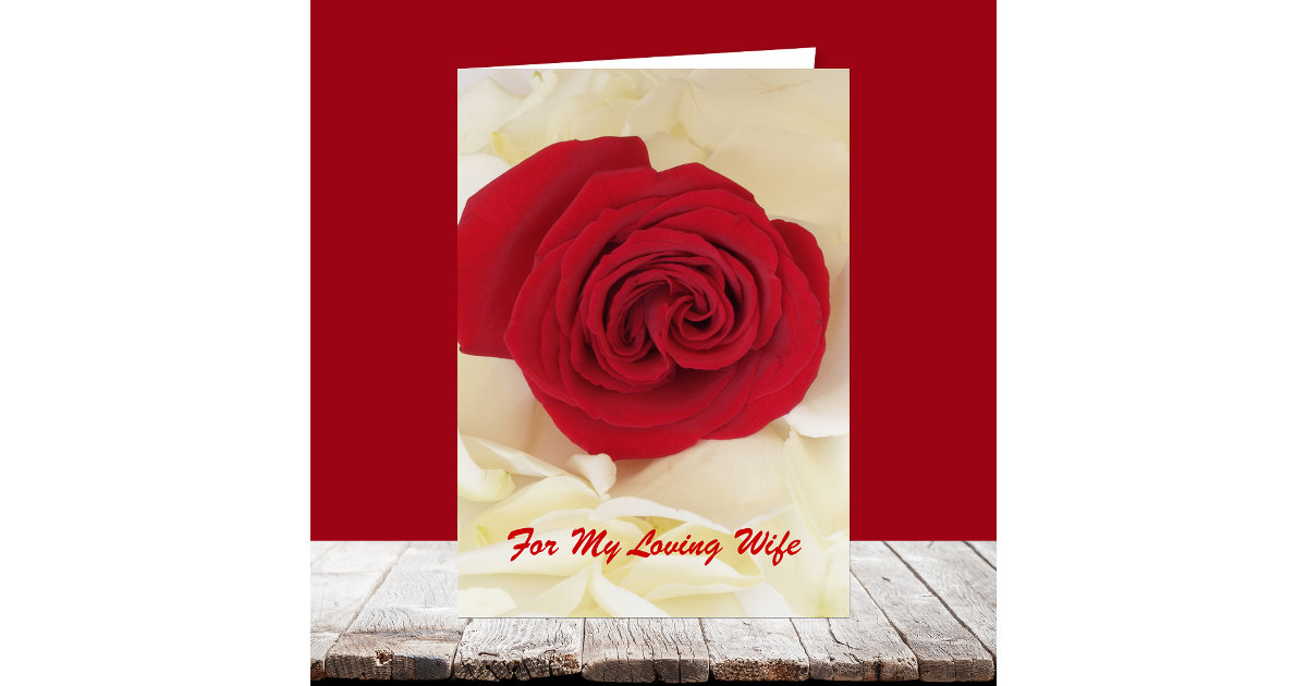 Red Rose Wife Anniversary Card Zazzle