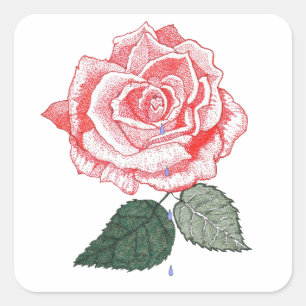 Red Rose with Dew Drops dropping from Petals Square Sticker