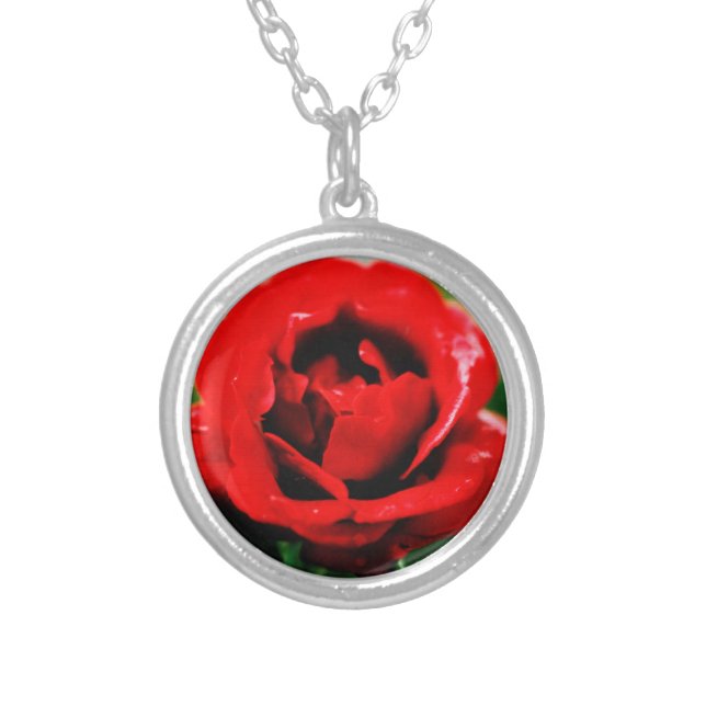 Red Rose with Dew Drops  Silver Plated Necklace (Front)