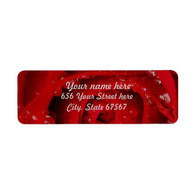 Red Rose with Water Drops Return Address labels (Front)