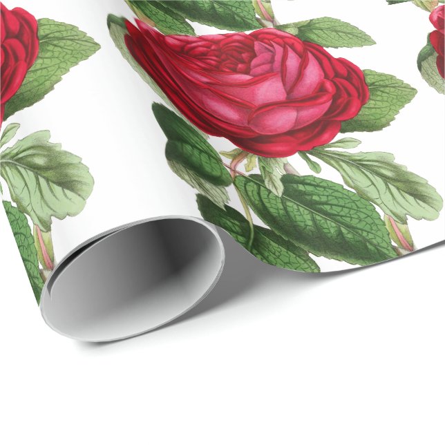 Red rose wrapping paper (Roll Corner)