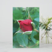 red rosebud (Standing Front)
